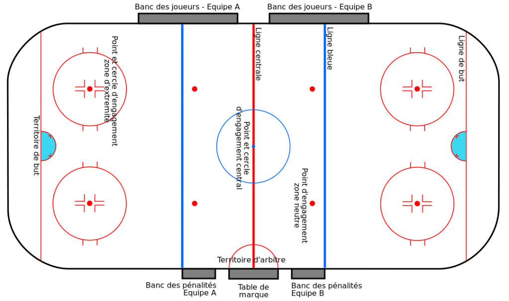 Les différentes zones de la patinoire.