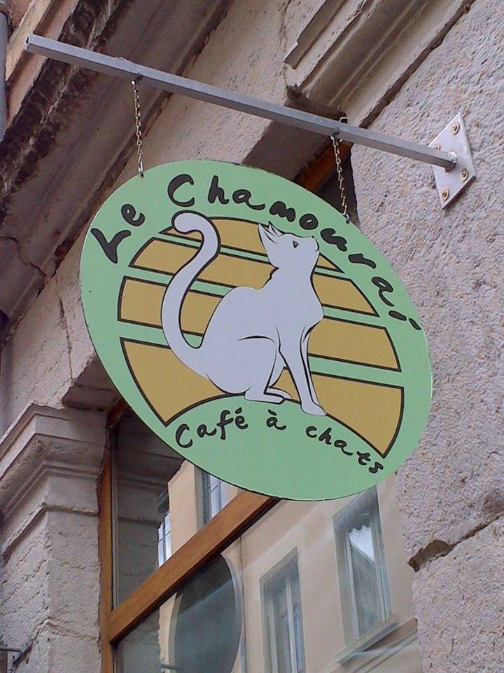 Bar à chats Le Chamouraï 